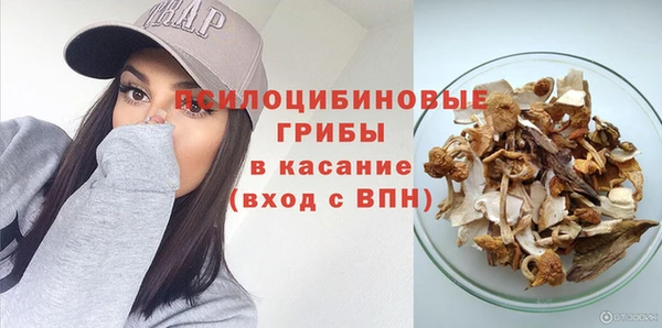 ГАЛЛЮЦИНОГЕННЫЕ ГРИБЫ Балахна