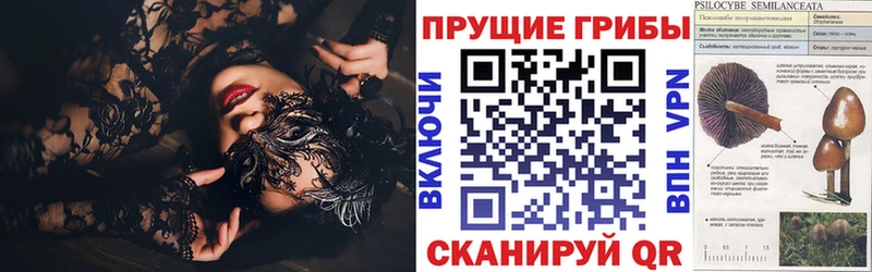 магазин продажи   OMG вход  Галлюциногенные грибы ЛСД  Котовск 